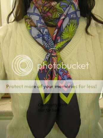 IMG_4474c.jpg