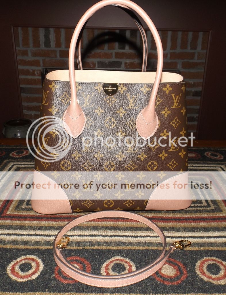 Louis Vuitton Speedy 25 Bag Review  EVERYTHING you need to know, Wear &  Tear, Worth it, Modshots 