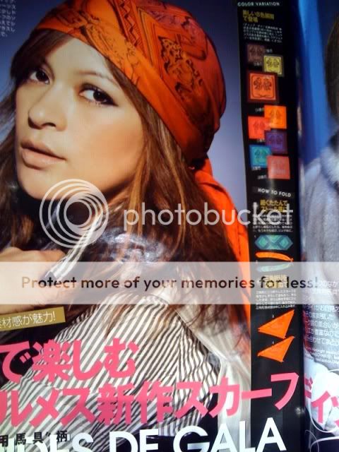 photodd1.jpg