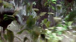 tumblr_o49kj0s88l1ty8mi0o1_250.gif