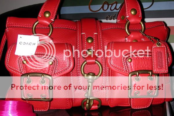 Purse.jpg