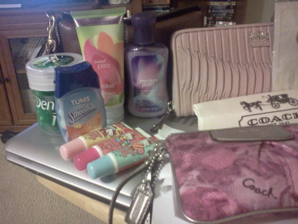 whatsinsidemypurse008.jpg