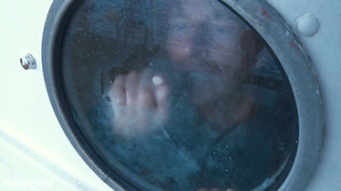 tumblr_ny13kudp7o1qk4jbqo1_400.gif