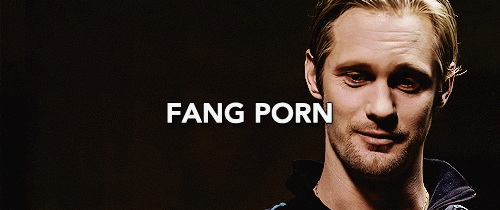 tumblr_o6erw9QdP81qlgnv9o1_500.gif