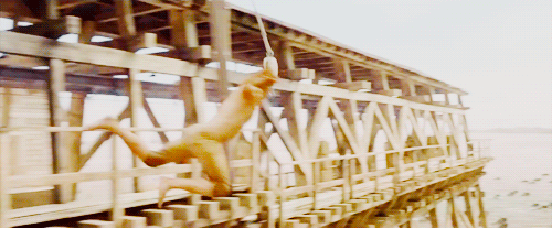 tumblr_o479wiv3hx1rtj2i3o4_500.gif