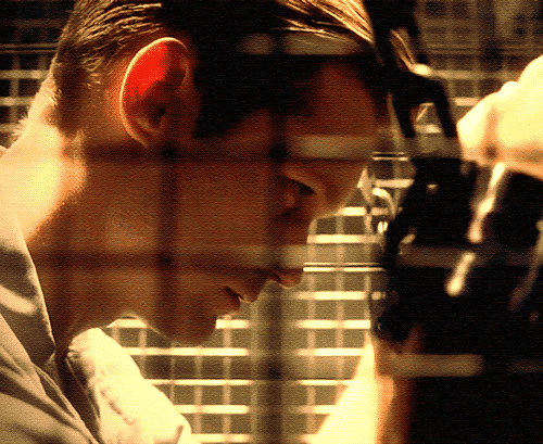 tumblr_mqgaq82R9a1rs1y0wo1_500.gif