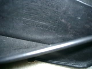 PIMG0099.jpg