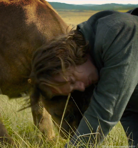 tumblr_o495heSFcg1qdljtto1_540.gif