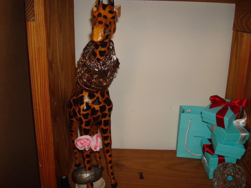 DSC00584.jpg