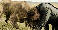 tumblr_o47ij5TRdN1qlgnv9o2_250.gif