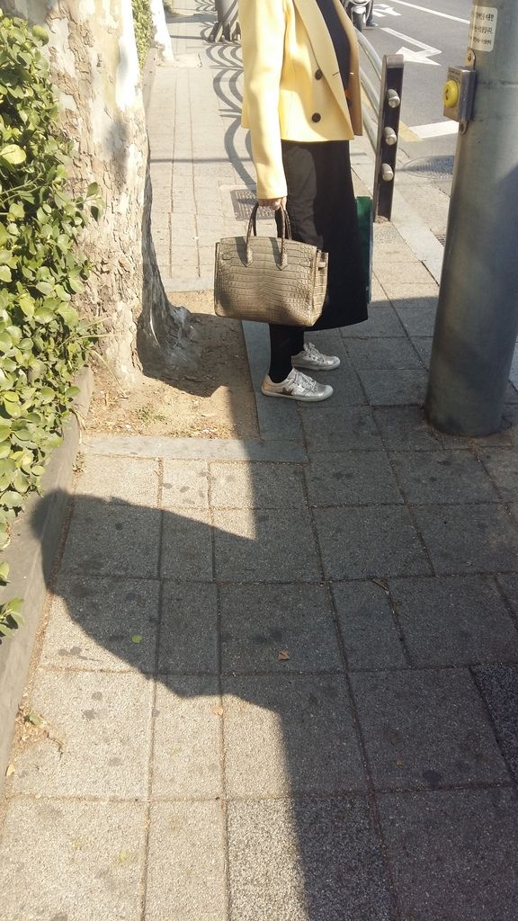 20170322_101622_zpszutvpffc.jpg
