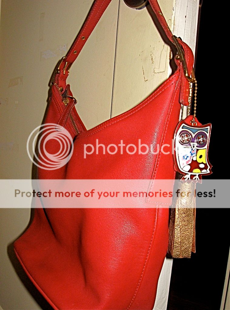 IMG_0337_zpsdqxlontk.jpg