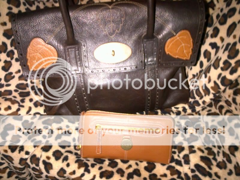 MyMulberryBayPurse1.jpg