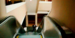 tumblr_o250ld78t21rpotpgo5_250.gif