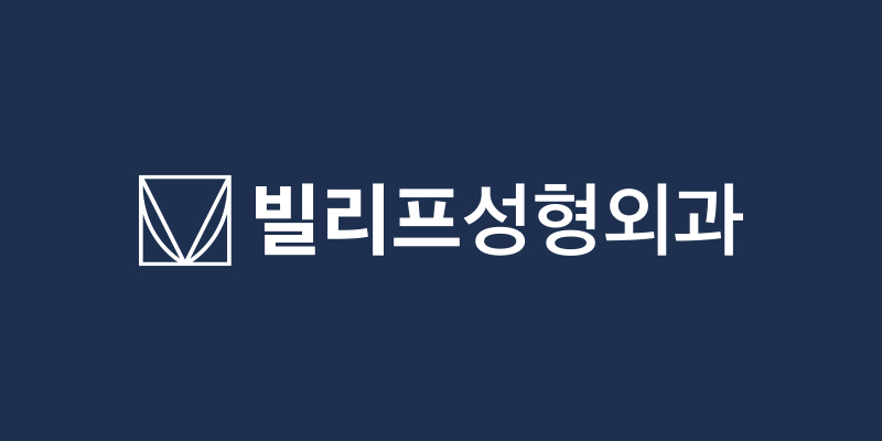 en.vlif.co.kr