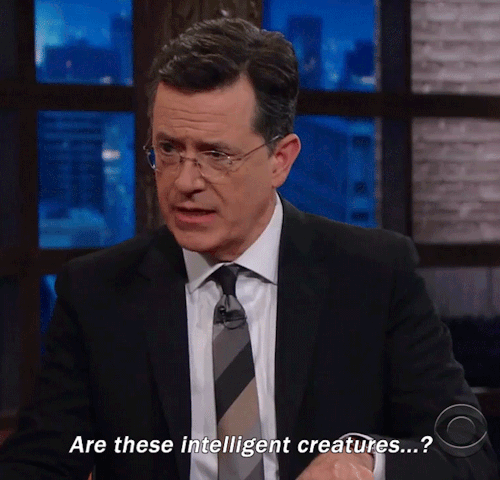 tumblr_o8m03l8BP01suegveo1_500.gif
