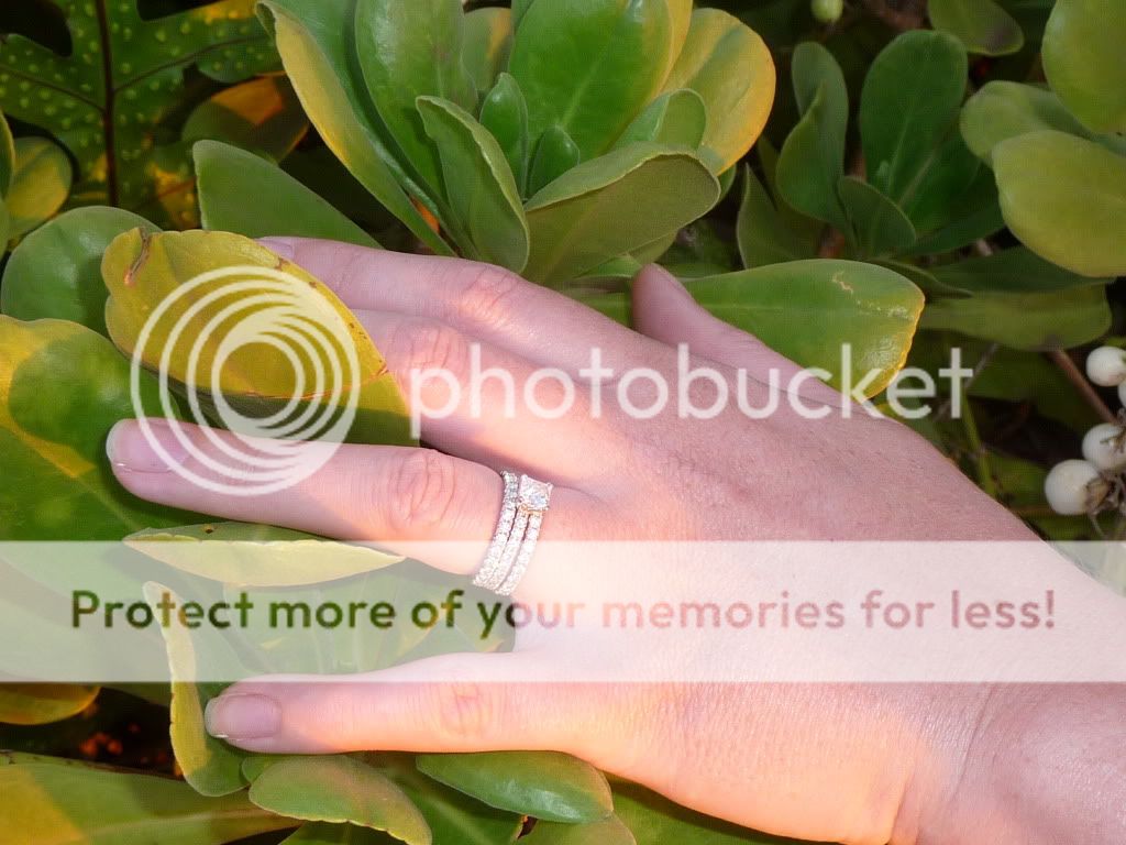 Honeymoon270.jpg
