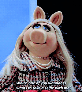 tumblr_nu2am63oT91s5e5bko1_400.gif