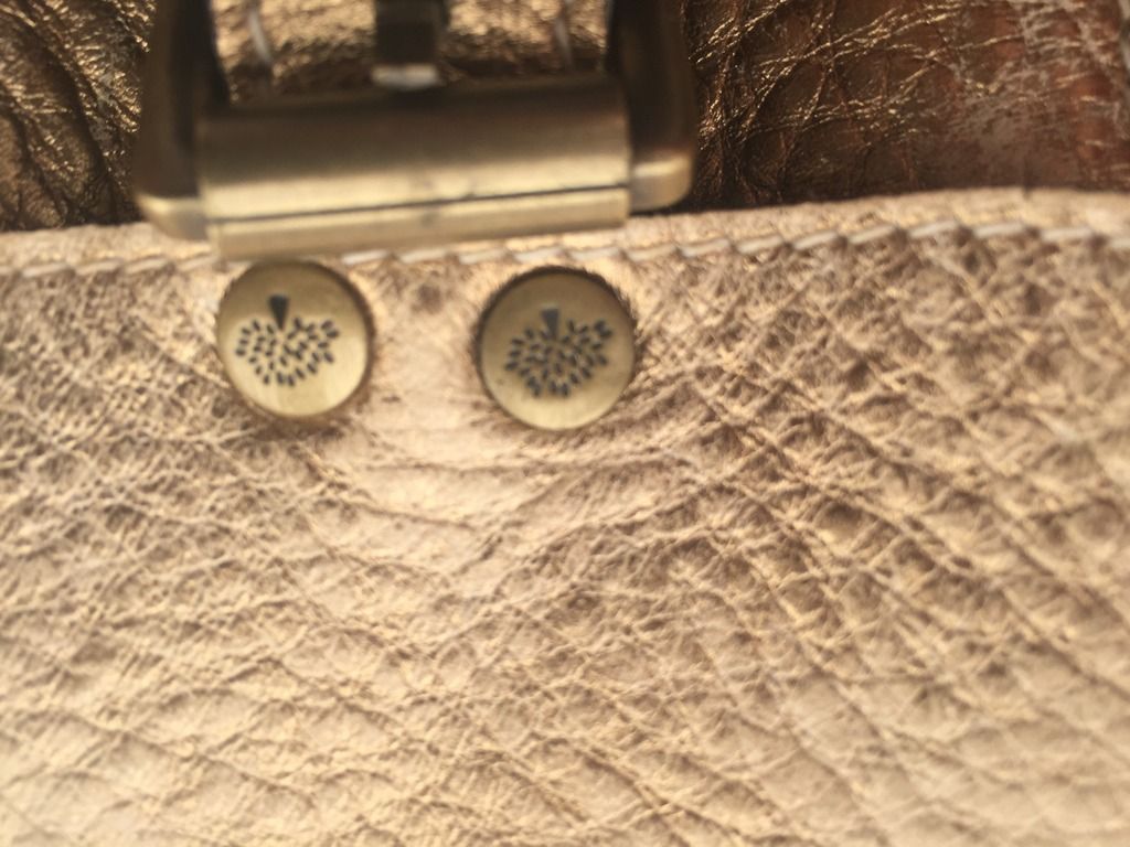 image_14.jpeg