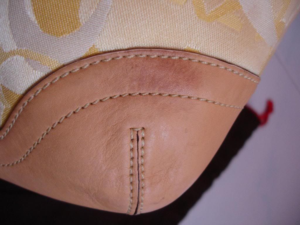 DSC00124.jpg
