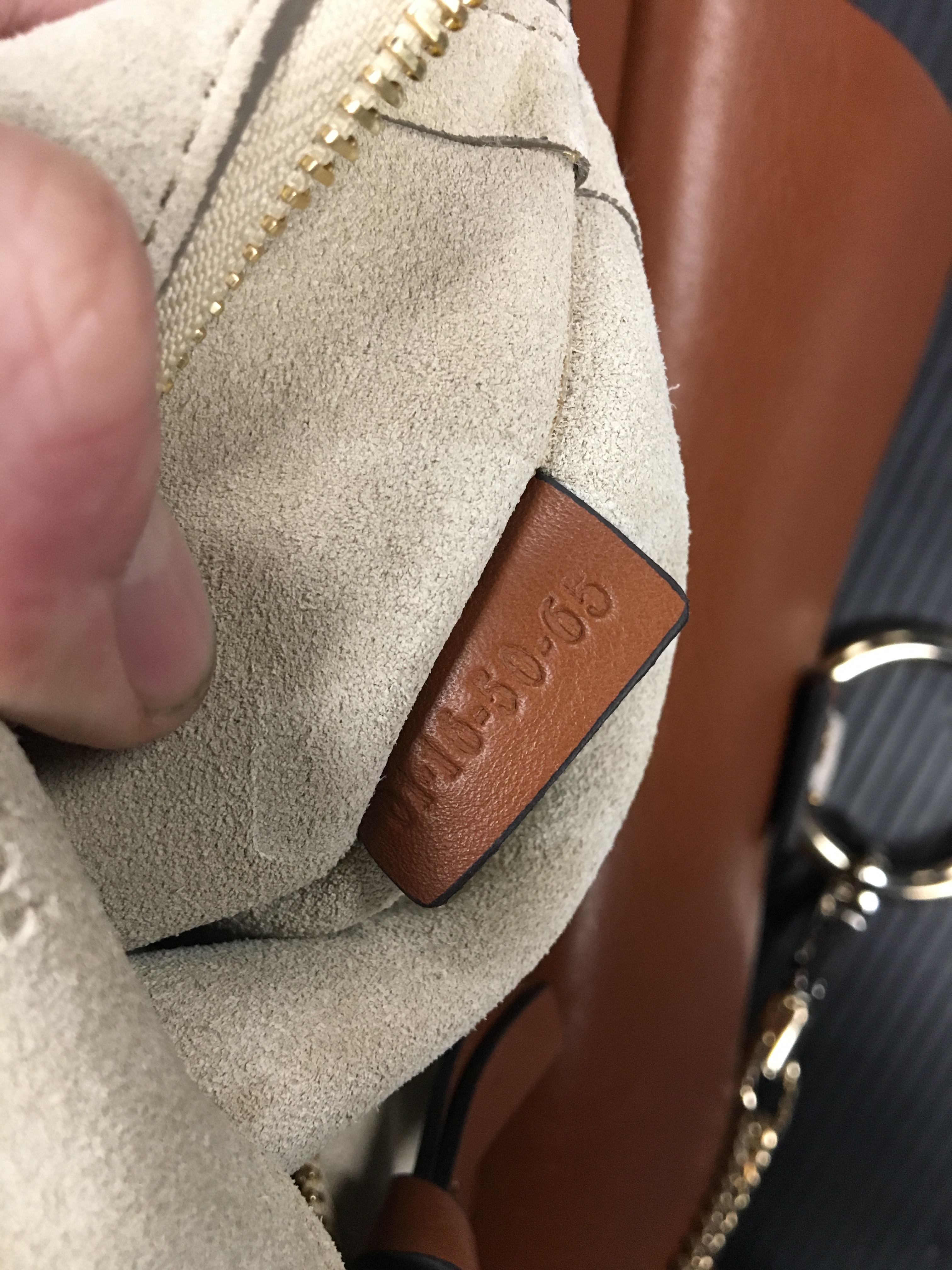 Chloe%204.jpg