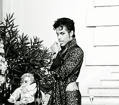 tumblr_inline_mjh42zXqNv1qz4rgp.gif