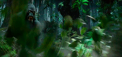 tumblr_o46uspOzam1rpotpgo6_250.gif