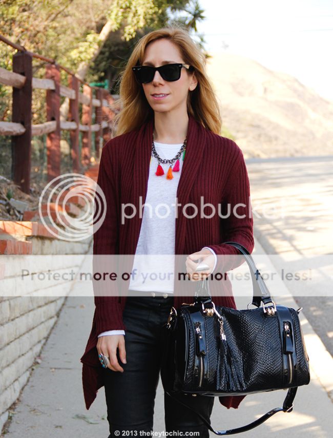 Nov15-2013-MG3120_zps176bdabb.jpg