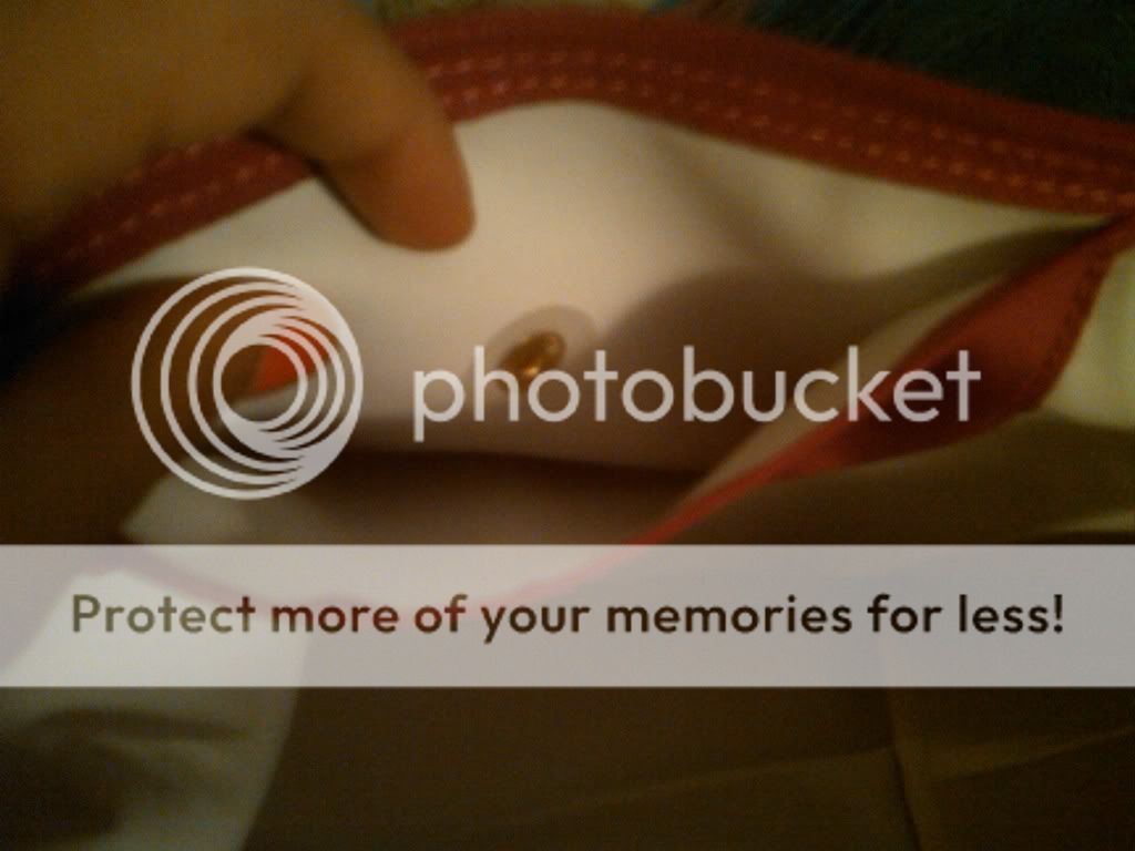 IMG-20111117-00076.jpg