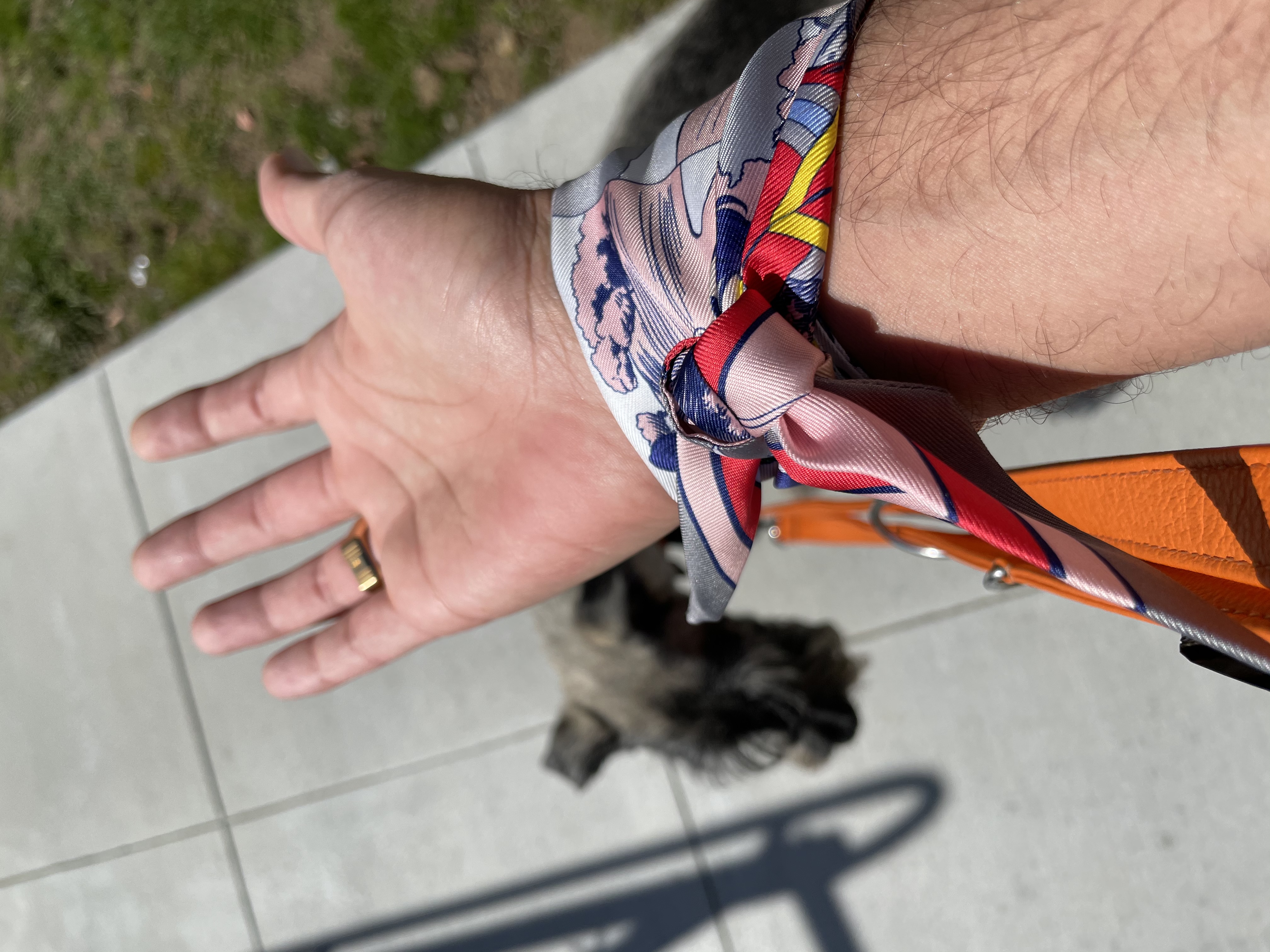 wow_twilly_wrist_bottom.jpeg