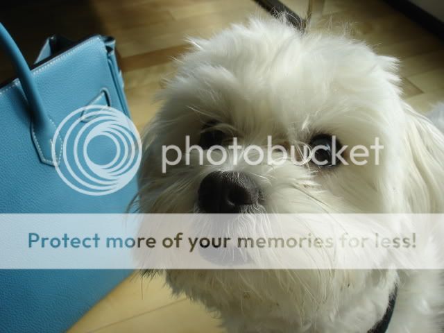 DSC00050.jpg