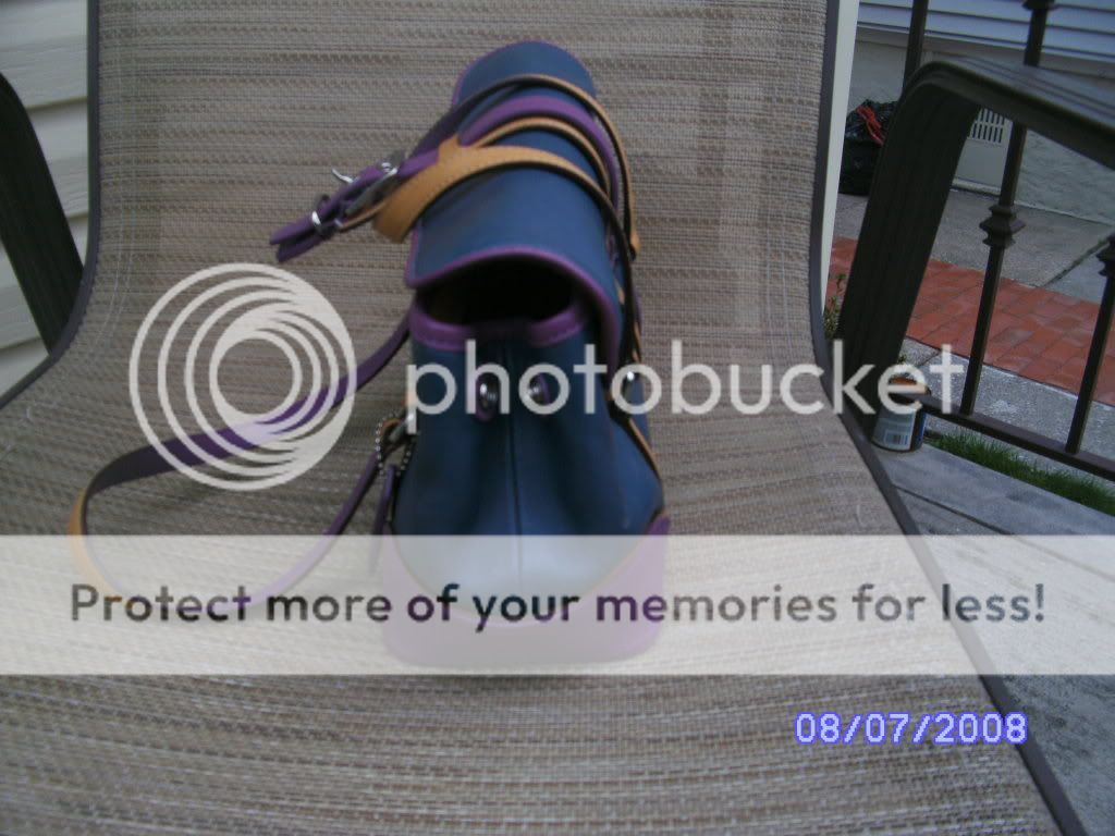 coachbag006.jpg