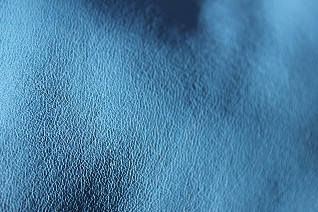 7097706611_fa0b248539_z.jpg