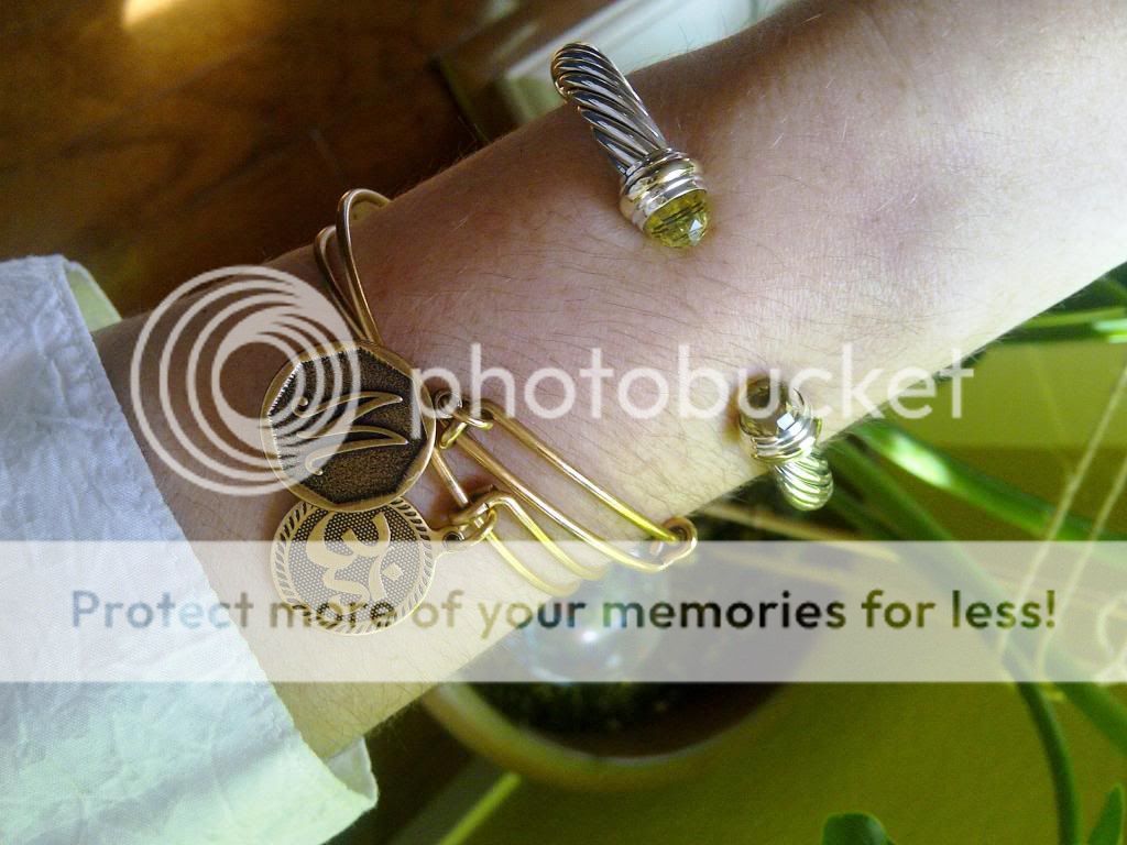 IMG-20140316-00186_zps11534a4c.jpg