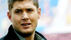 SPN32.gif