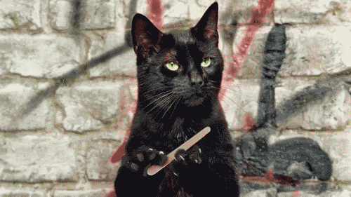 tumblr_ls3tvi8dsX1qcio4fo1_500.gif
