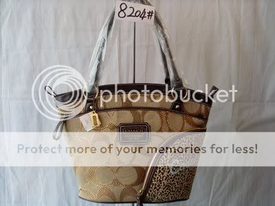 SL381641.jpg