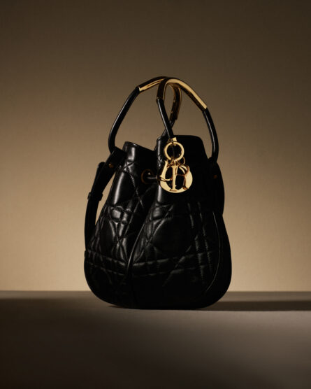 Dior-Nolita-Bag-1-445x556.jpg