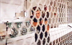 tumblr_mmgp5w90K81qcj6rgo1_250.gif