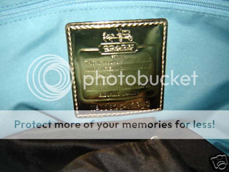 coachbag3.jpg
