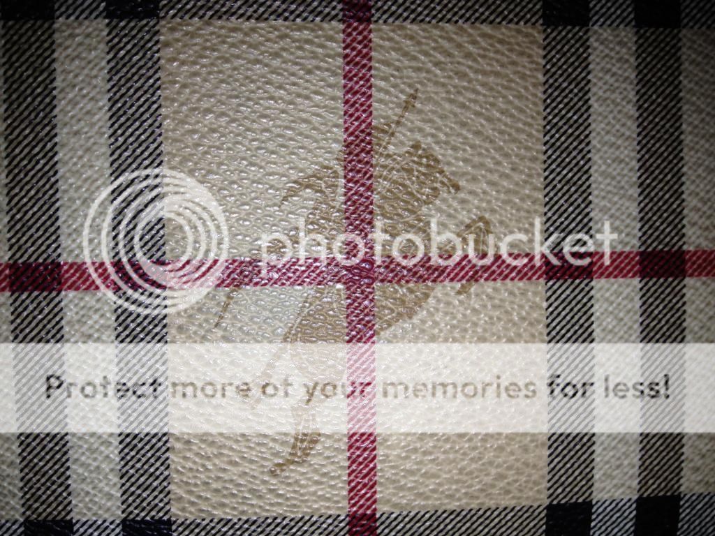 IMG_00841_zpsb7fdbd88.jpg