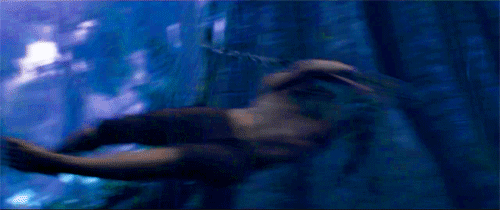 tumblr_o470gf0p671qaufopo3_500.gif