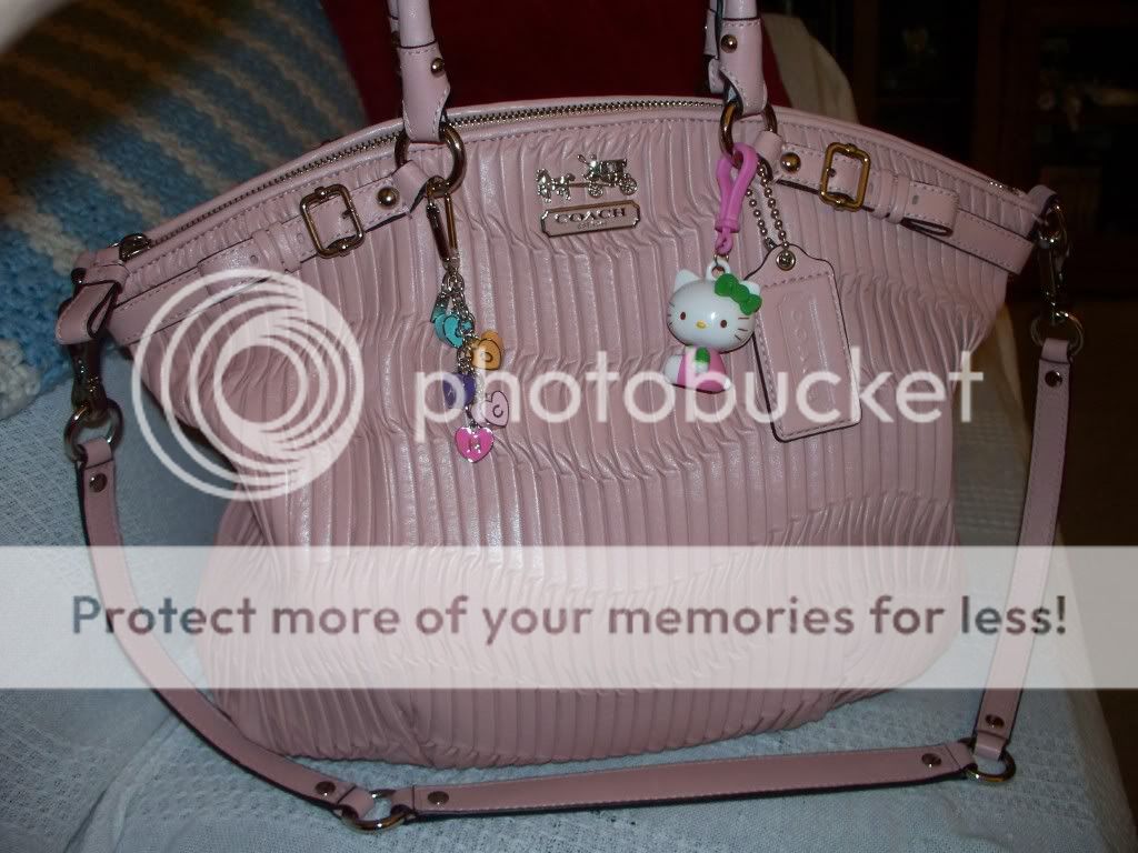 coachbagpics001.jpg