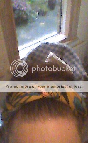 MT_zps882s4rwg.jpg