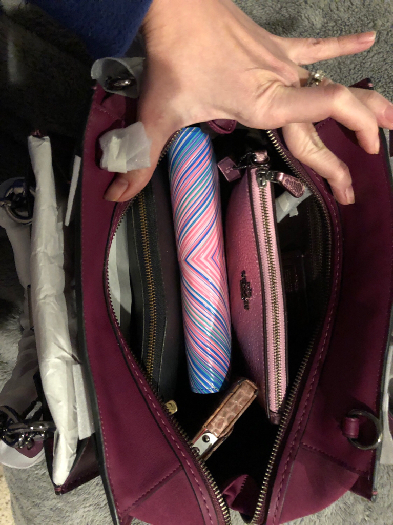 What's in your COACH bag? | Page 498 | PurseForum