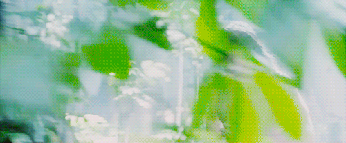 tumblr_o479wiv3hx1rtj2i3o3_500.gif