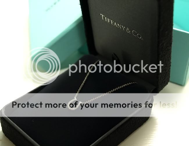 TiffanyMetro.jpg