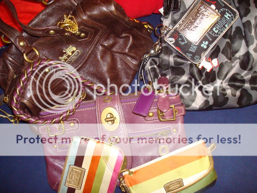 DSC00562.jpg