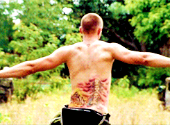 tumblr_m07k1vpcYU1qfwvado1_250.gif