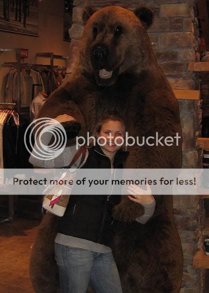 bear-1.jpg